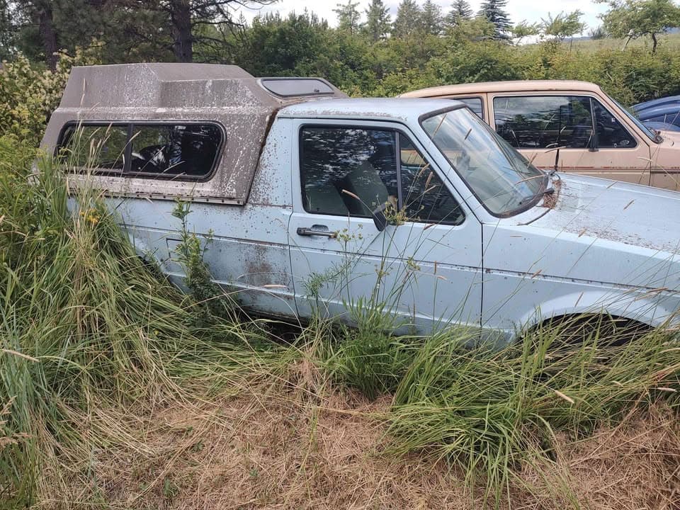 1981 Volkswagen Rabbit Hatchback 2D